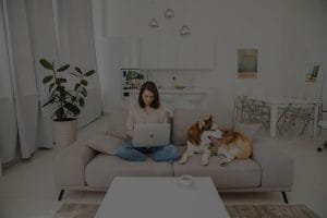 How to Use Feng Shui Ornaments for a Harmonious Home Environment