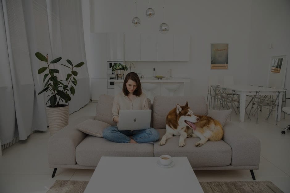 How to Use Feng Shui Ornaments for a Harmonious Home Environment