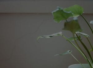 Improve Relationships-Feng Shui Decor Ideas for Harmonious Living