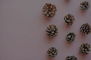 Incorporating Feng Shui Elements into Your Holiday Decor