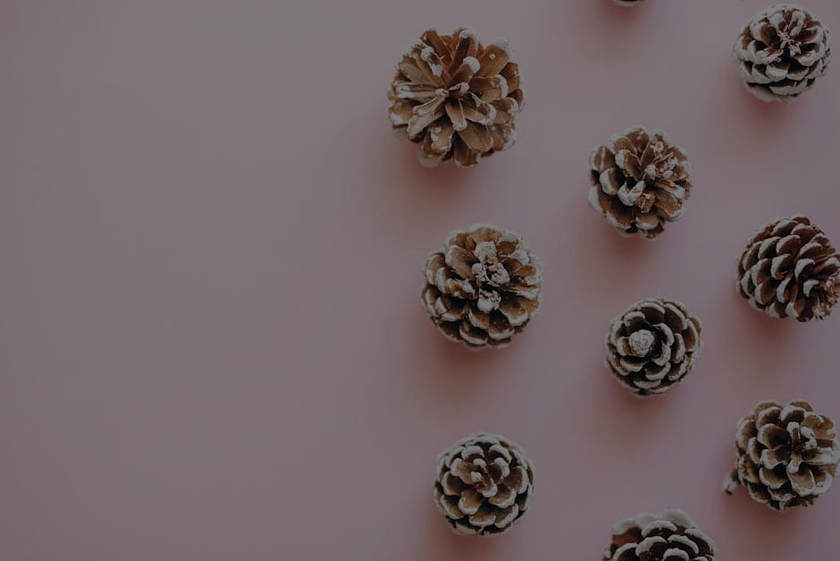 Incorporating Feng Shui Elements into Your Holiday Decor