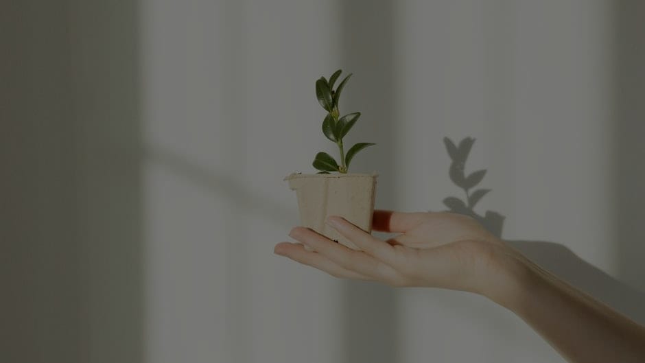 Maximize Small Spaces-Feng Shui Solutions for Apartments and Tiny Homes