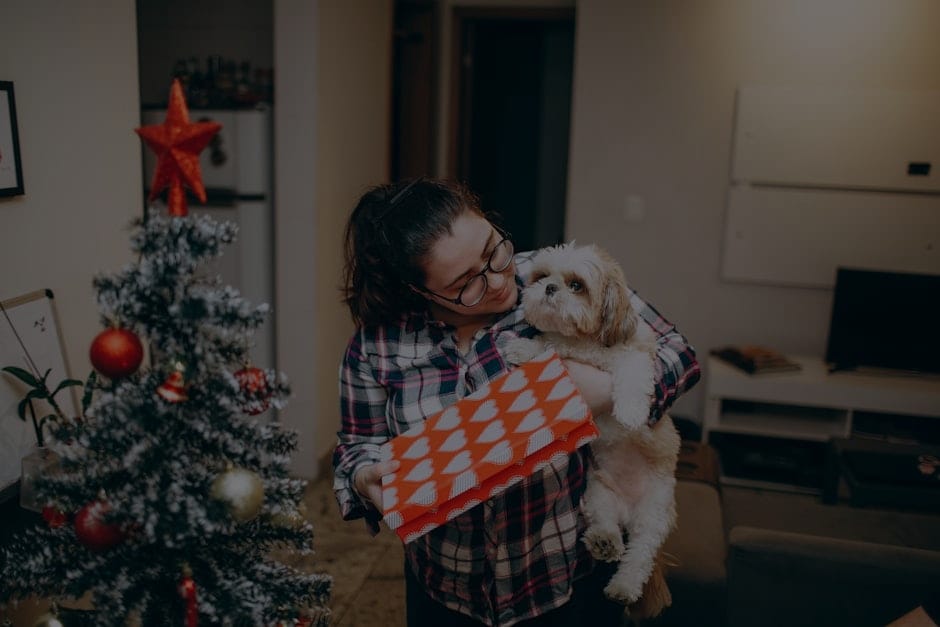 Maximize Your Home’s Energy-Top Feng Shui Ornaments for Every Room