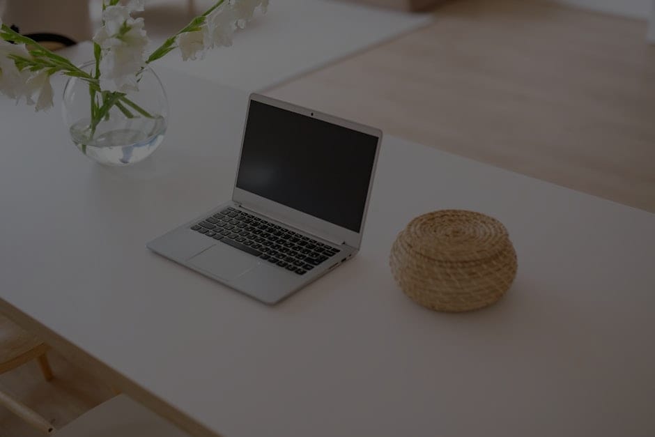 Maximize Your Home's Potential with Feng Shui Accessories