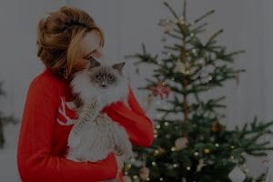 Maximize Your Home's Potential with These Feng Shui Ornaments
