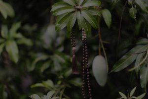 Maximize Your Outdoor Energy-Feng Shui Tips for a Harmonious Garden