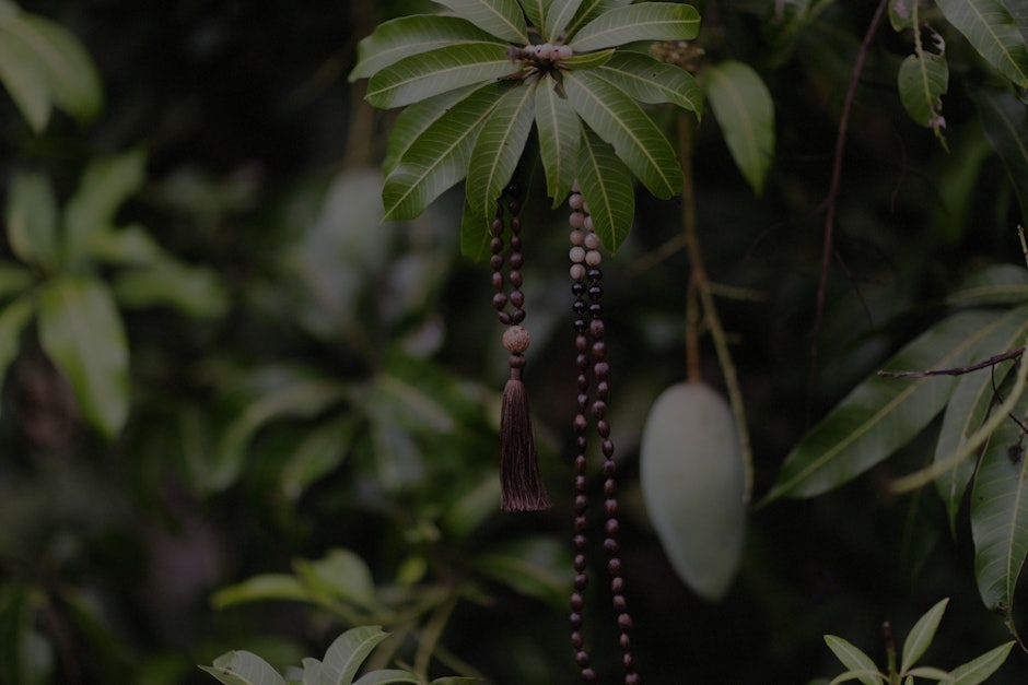 Maximize Your Outdoor Energy-Feng Shui Tips for a Harmonious Garden