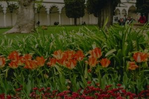 Maximize Your Outdoor Space-Feng Shui Garden Decor Ideas