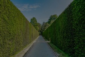 Maximize Your Outdoor Space-Feng Shui Ornaments for a Harmonious Garden