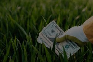 Maximize Your Wealth Potential-Feng Shui Items for Financial Success