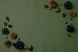 Mindful Living-Integrating Feng Shui Energy Ornaments into Minimalist Spaces