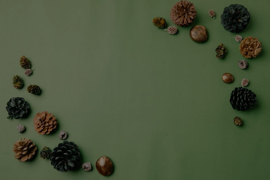 Mindful Living-Integrating Feng Shui Energy Ornaments into Minimalist Spaces