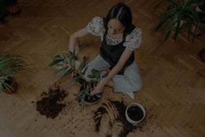 Mindful Shopping-Choosing Eco-Friendly Feng Shui Ornaments for Your Home