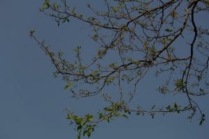 Navigate Life Changes-Feng Shui Ornaments for Transitions and New Beginnings