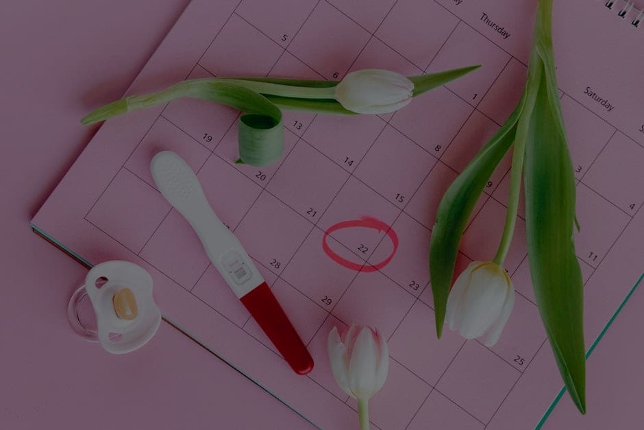 Navigating Change-Feng Shui Strategies for Life Transitions