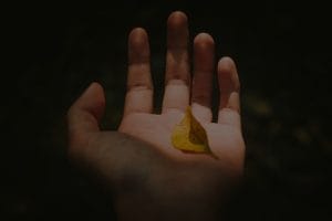 Navigating Life Changes-Feng Shui Energy Tools for Transition and Stability