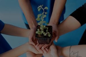 Navigating Life Changes-Feng Shui Items to Support Transition and Growth