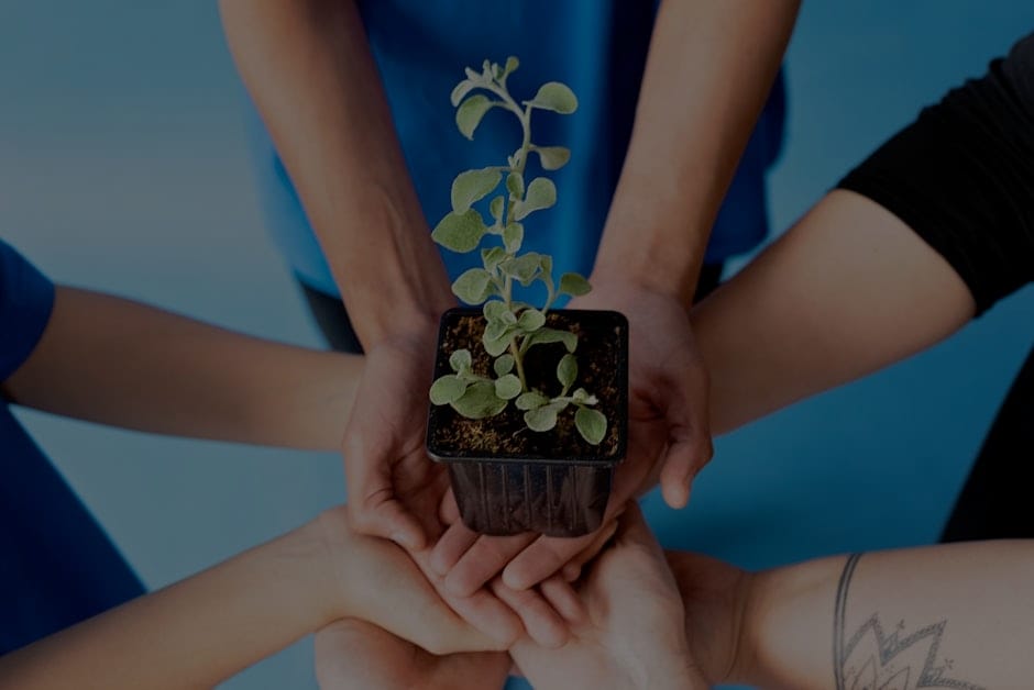 Navigating Life Changes-Feng Shui Items to Support Transition and Growth