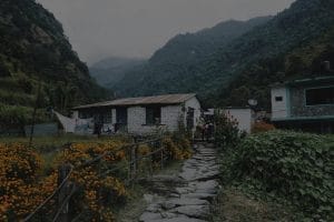 Navigating Stress-Feng Shui Solutions for a Calmer Home Environment