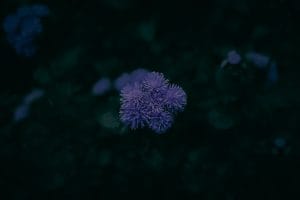 Optimize Your Garden-Feng Shui Ornaments for Outdoor Serenity and Growth