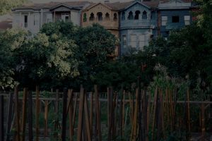 Optimize Your Garden-Feng Shui Tips and Ornaments for Outdoor Spaces