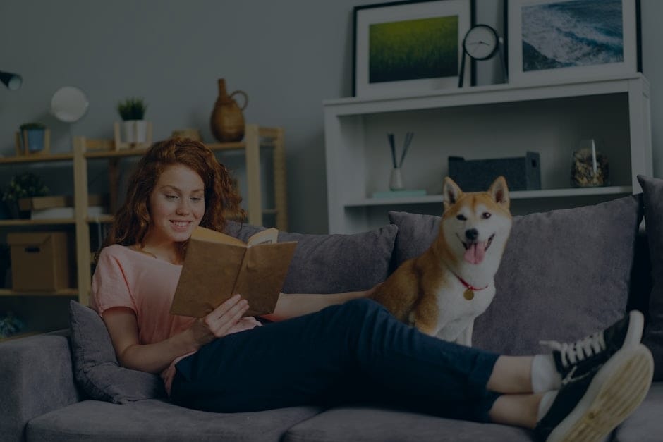 Pet-Friendly Feng Shui-Energy Ornaments for a Happy Home with Animals