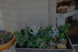 Practical Feng Shui-Energy Ornaments for Small Apartments
