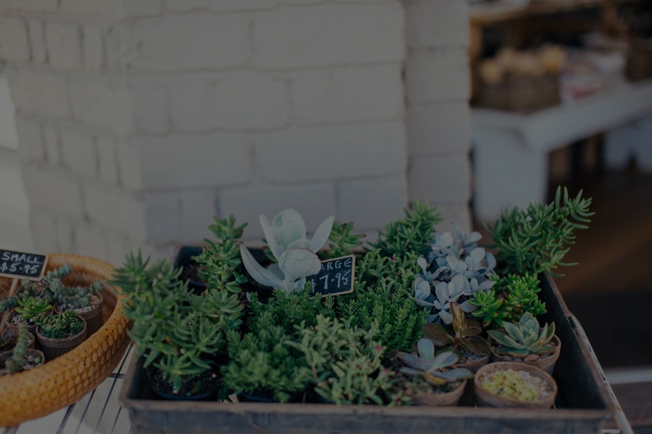 Practical Feng Shui-Energy Ornaments for Small Apartments