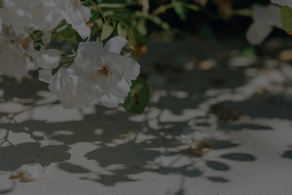 Revitalize Your Garden-Feng Shui Elements for Outdoor Harmony and Growth
