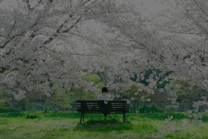 Revitalize Your Garden-Feng Shui Elements for Outdoor Serenity