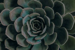 Revitalize Your Garden-Feng Shui Ornaments for Outdoor Spaces in Europe