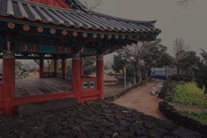Revitalize Your Garden-Feng Shui Practices for Outdoor Serenity
