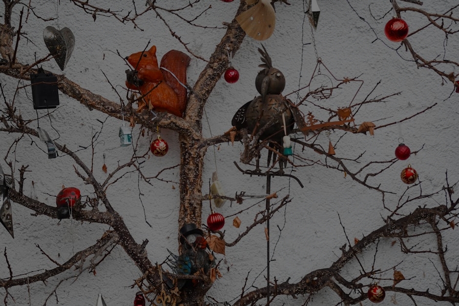 Revitalize Your Garden-Feng Shui Tips for Outdoor Spaces and Ornaments