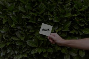 Revitalize Your Workspace-Feng Shui Tips for a More Inspiring Office Environment