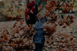 Seasonal Feng Shui-Best Ornaments for Autumn Energy Shifts