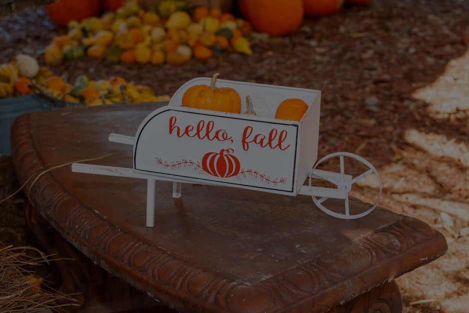 Seasonal Feng Shui-Best Ornaments to Refresh Your Space for Autumn