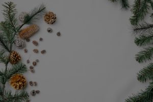 Seasonal Feng Shui-Energy Ornaments to Refresh Your Space for the New Year