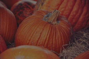 Seasonal Feng Shui-How to Adjust Your Energy Decor for Fall