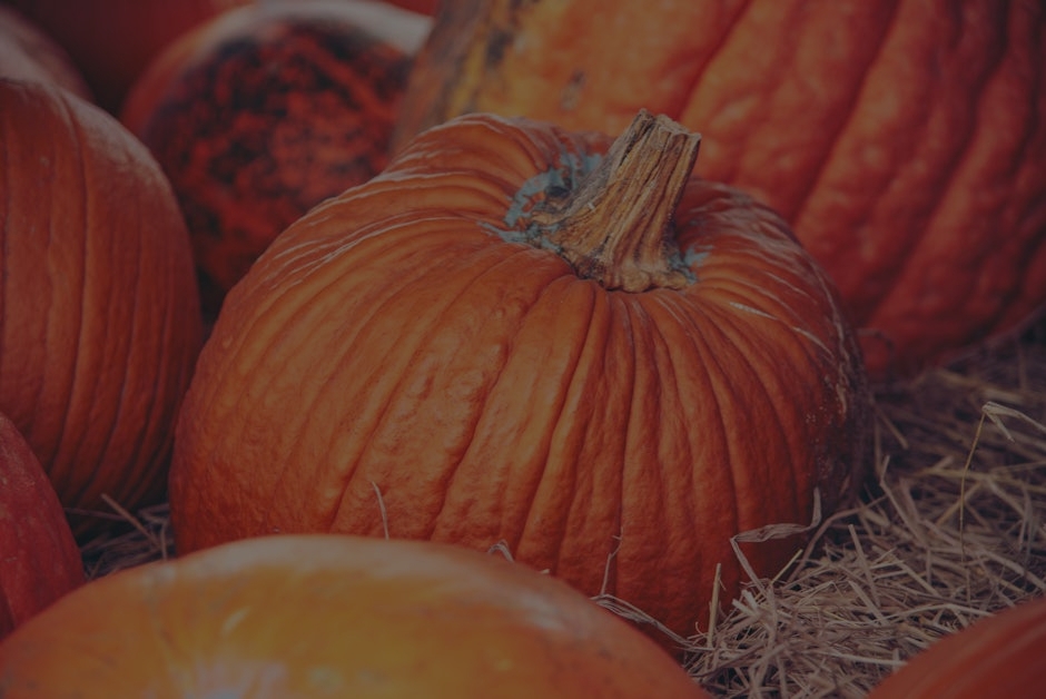 Seasonal Feng Shui-How to Adjust Your Energy Decor for Fall
