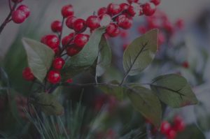 Seasonal Feng Shui-How to Adjust Your Energy Ornaments for Fall and Winter