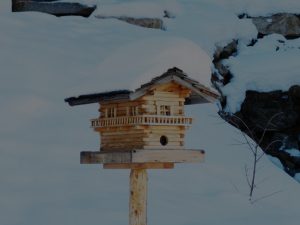 Seasonal Feng Shui-Ornaments to Align Your Home with Nature’s Energy Cycles