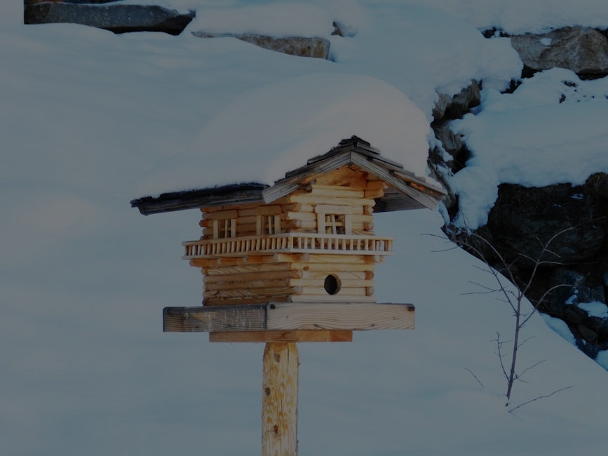 Seasonal Feng Shui-Ornaments to Align Your Home with Nature’s Energy Cycles