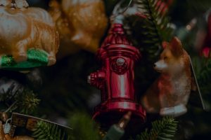Seasonal Feng Shui Tips-Refresh Your Home's Energy with Ornaments