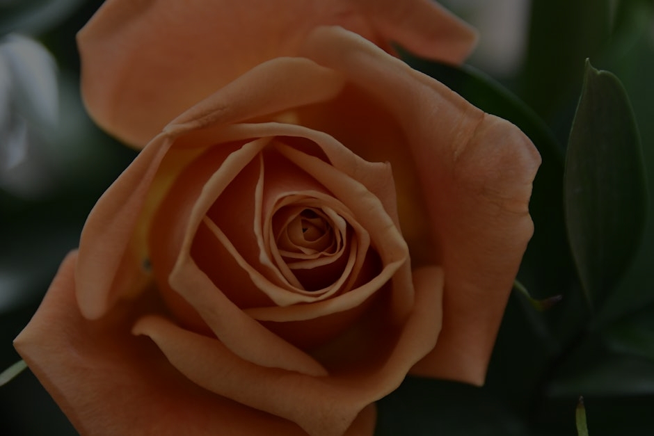 Selecting the Best Feng Shui Symbols for Personal Growth