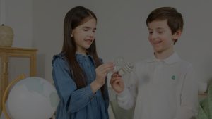 Sustainable Feng Shui-Eco-Friendly Energy Ornaments for Your Home