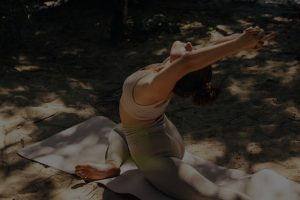 The Best Feng Shui Energy Ornaments for Creating a Calm and Peaceful Environment