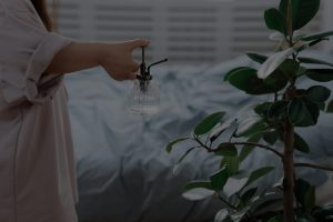 The Best Feng Shui Items for a Peaceful Bedroom Environment