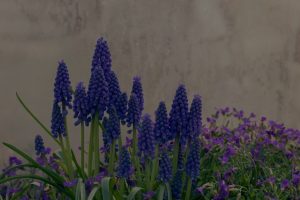 The Best Feng Shui Ornaments to Enhance Your Outdoor Spaces