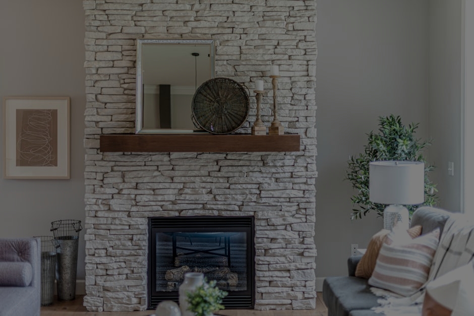 The Best Feng Shui Plants for Your Home-Enhance Your Space Naturally
