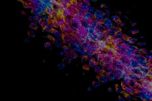 The Role of Feng Shui Energy Ornaments in Enhancing Creativity